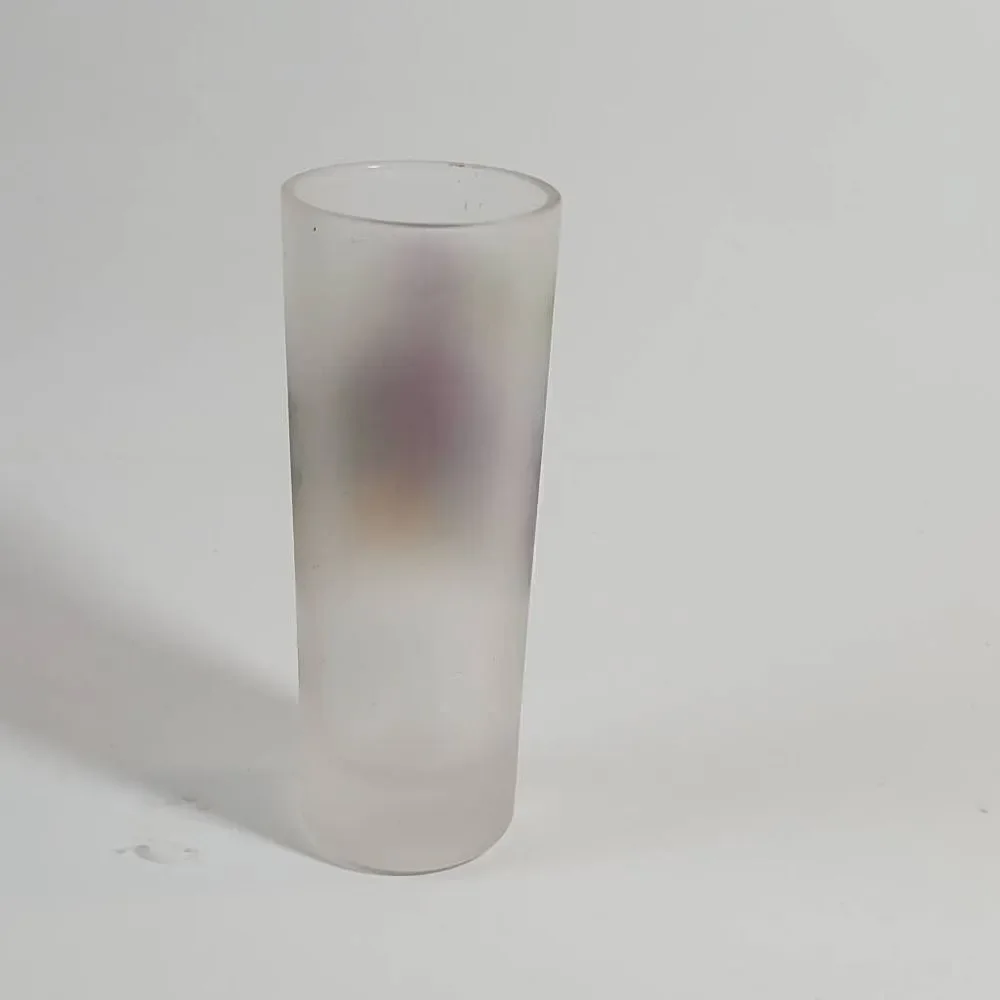 Collectible Shot Glasses Orlando Florida 4